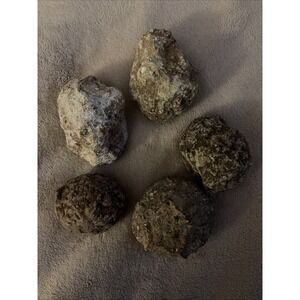 Five Unbroken Natural‎ Geodes Herkimer NY 2 Lbs 7 Oz